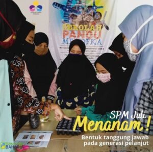 spm6